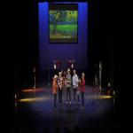 images/Voorstellingsfotos/Van Goghs Way to Go Teenagerversion Eveningconcert/03VanGoghAvond.jpg